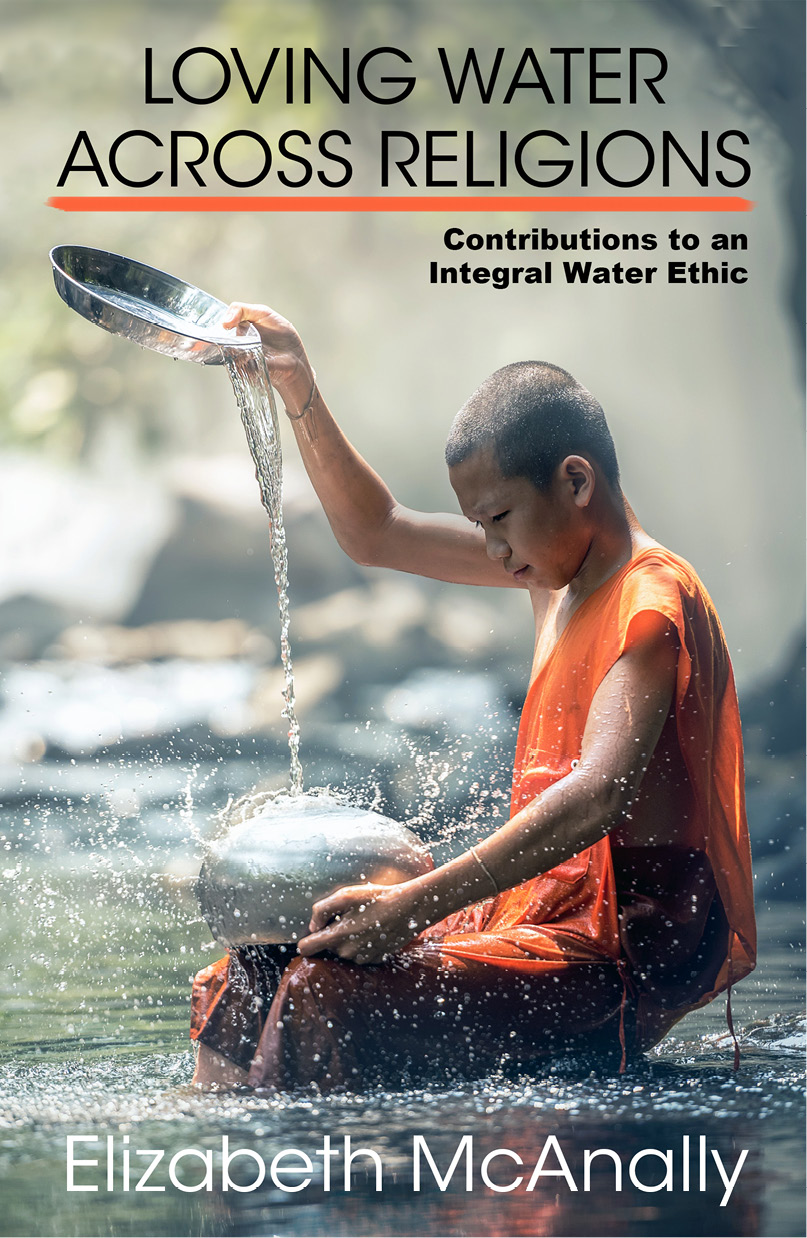 Loving Waters Across Religions Contributions To An Integral Water Ethic Mcanally