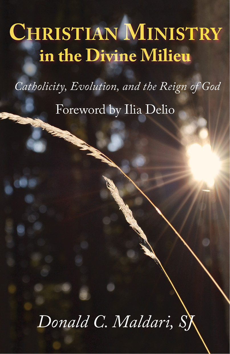Christian Ministry In The Divine Milieu Catholicity Evolution And The Reign Of God Maldari