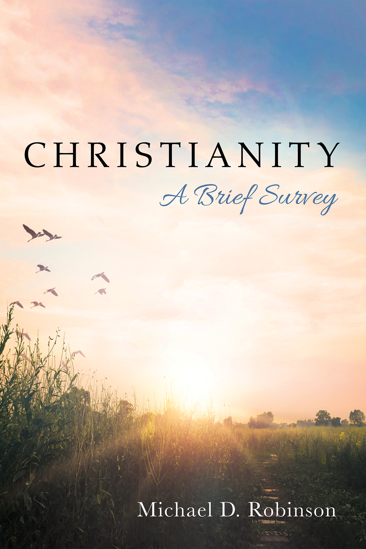 Christianity A Brief Survey Michael D Robinson