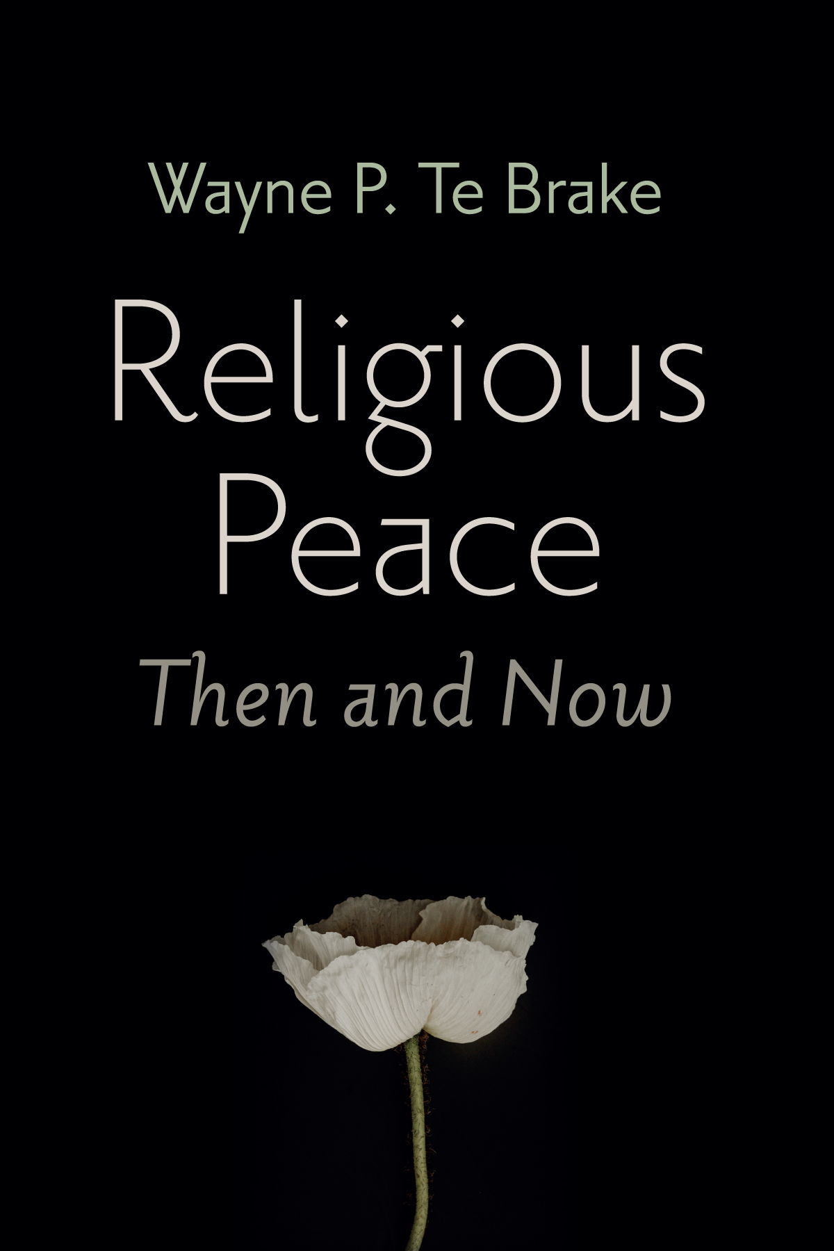 Religious Peace Then And Now Wayne P Te Brake