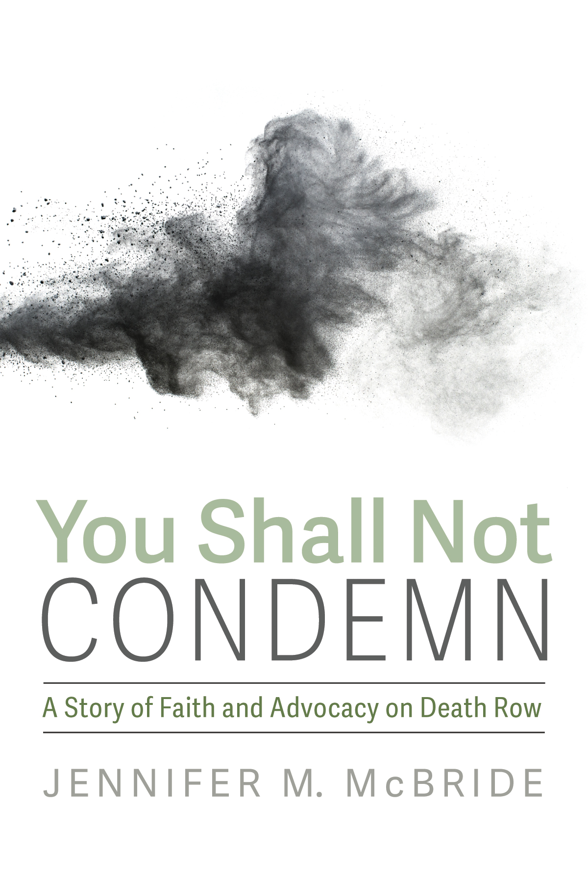 You Shall Not Condemn Jennifer M Mcbride