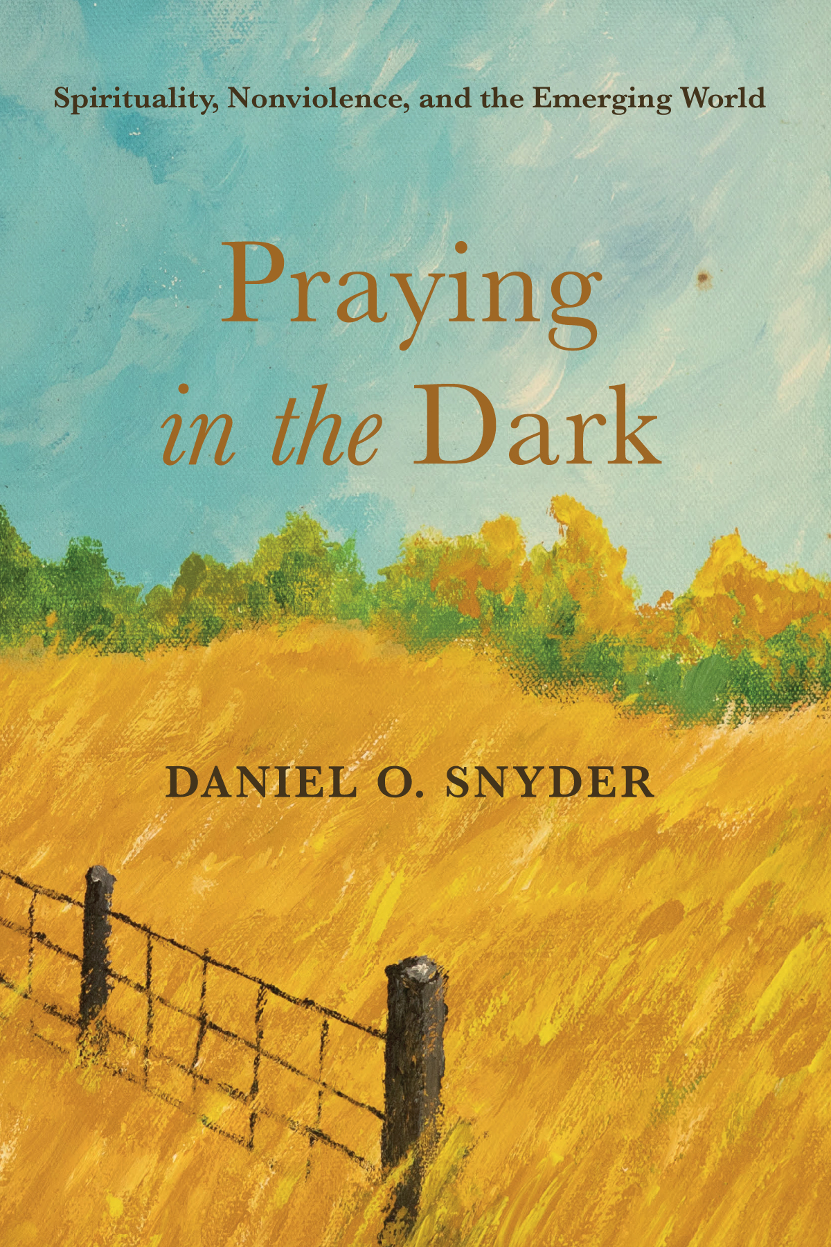 Praying In The Dark Daniel O Snyder