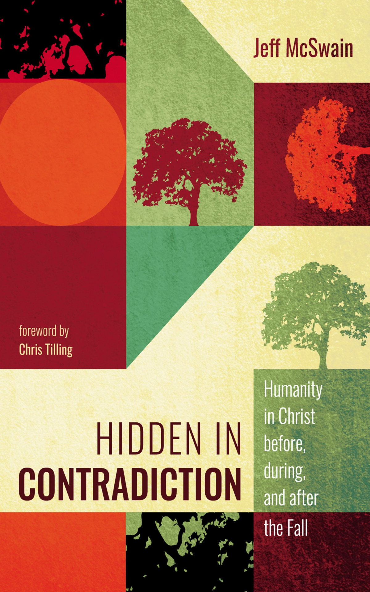 Hidden In Contradiction Jeff Mcswain