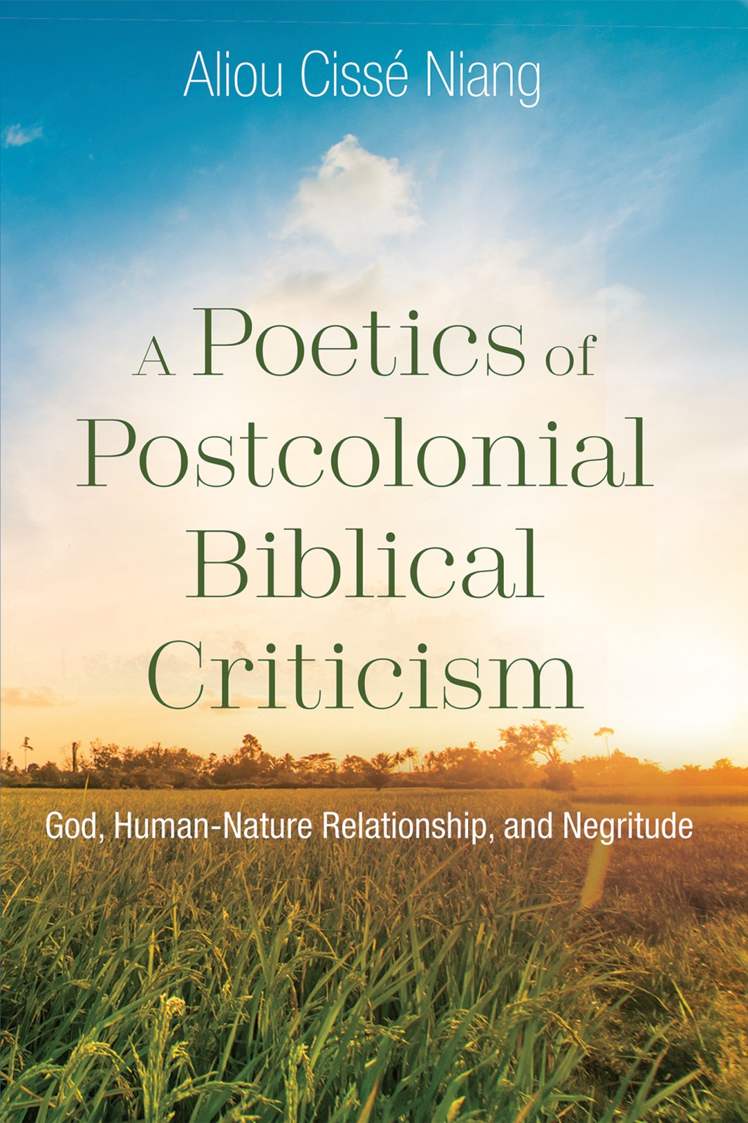 A Poetics Of Postcolonial Biblical Criticism Aliou Ciss Niang