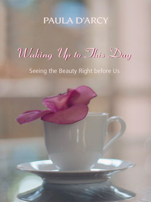 Waking Up To This Day Seeing The Beauty Right Before Us Paula Darcy