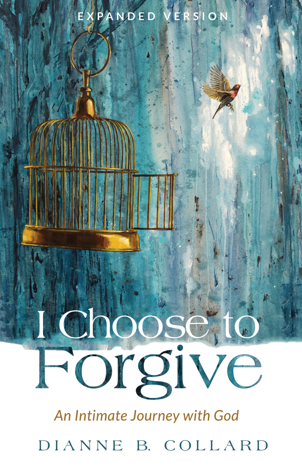 I Choose To Forgive Dianne B Collard