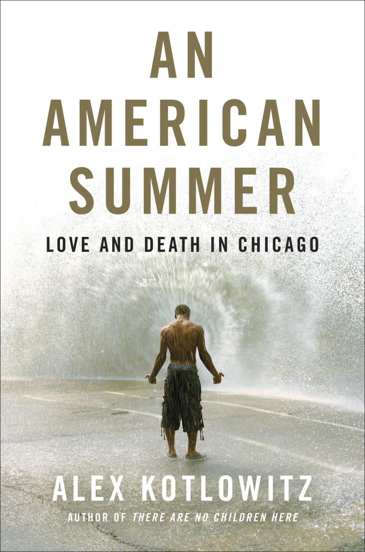 An American Summer Love And Death In Chicago Alex Kotlowitz