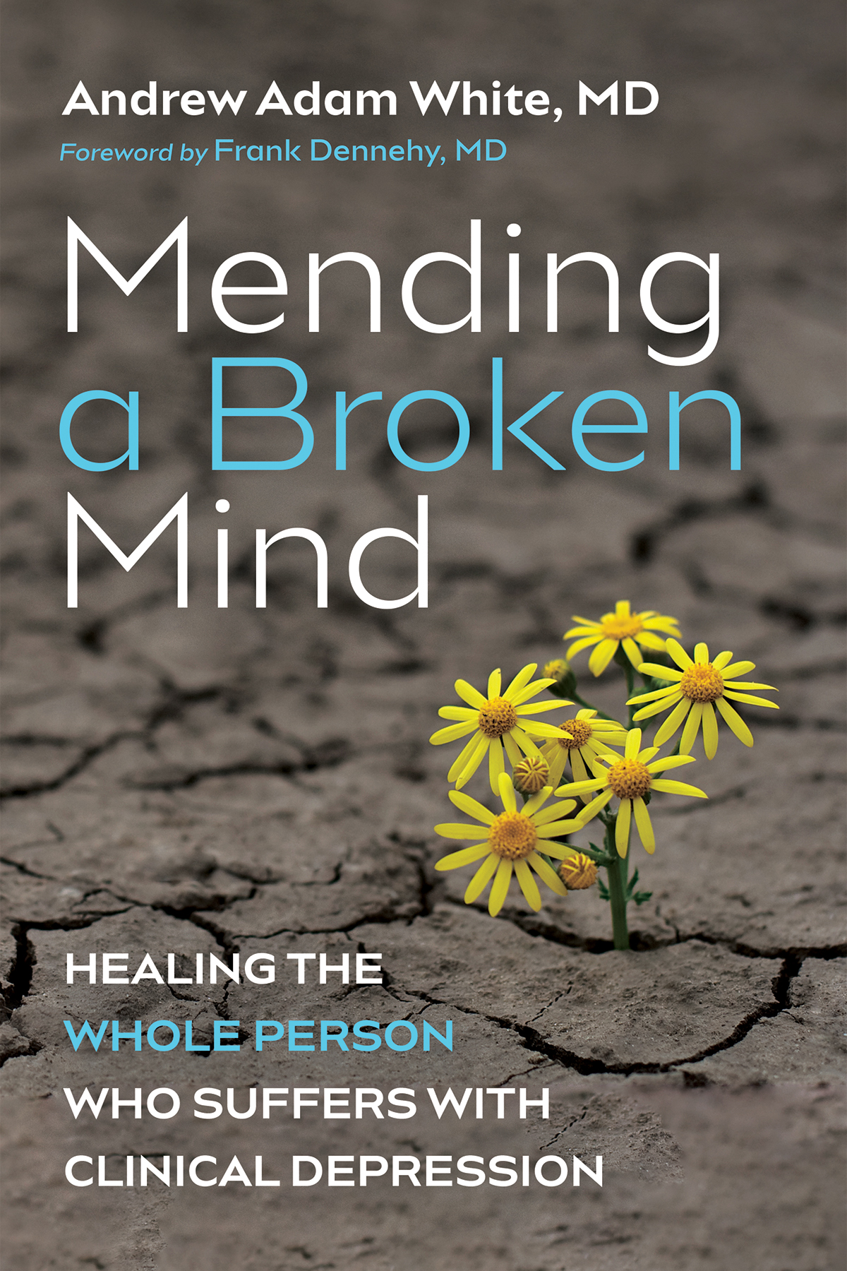Mending A Broken Mind Andrew Adam White