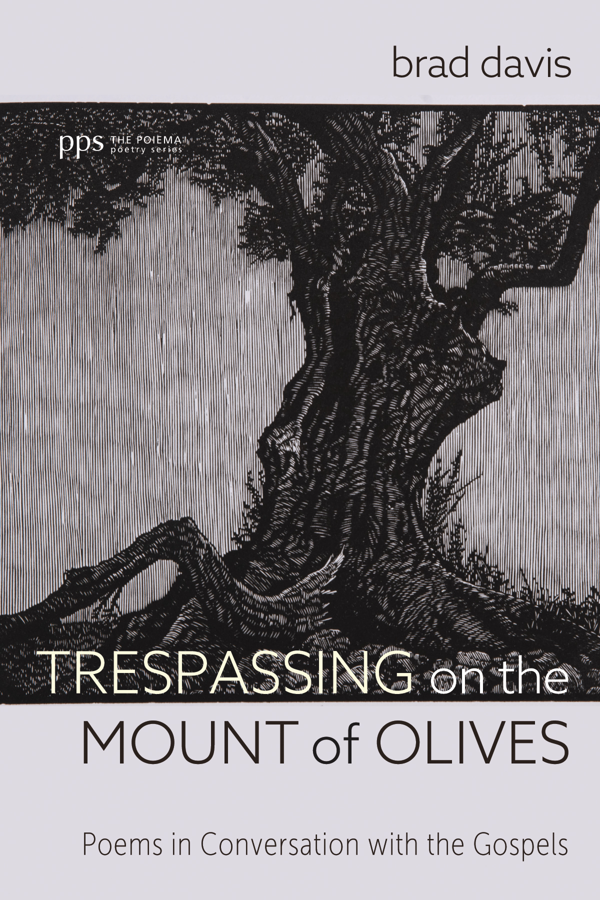 Trespassing On The Mount Of Olives Brad Davis