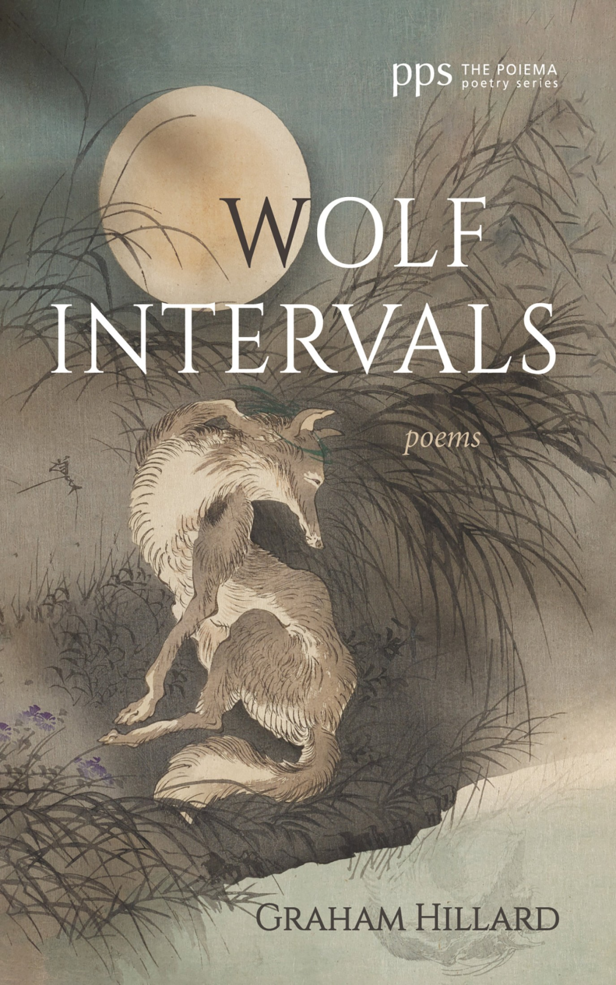 Wolf Intervals Graham Hillard