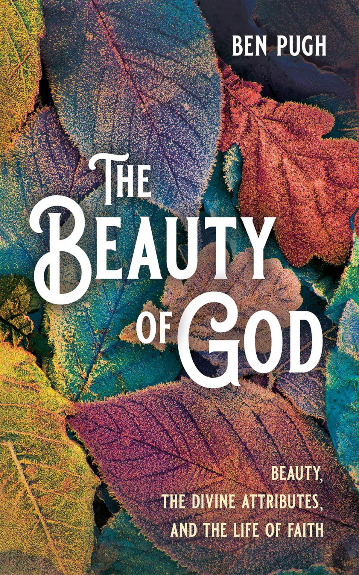The Beauty Of God Ben Pugh