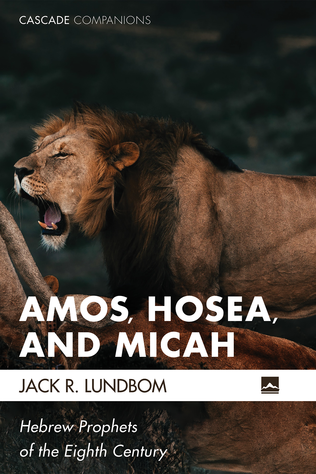 Amos Hosea And Micah Jack R Lundbom