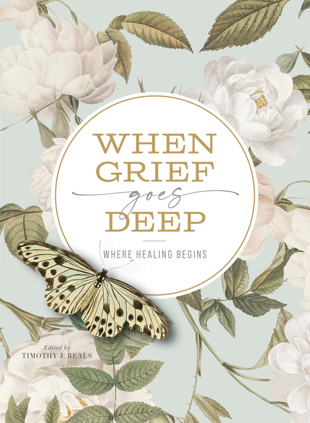When Grief Goes Deep Timothy Beals