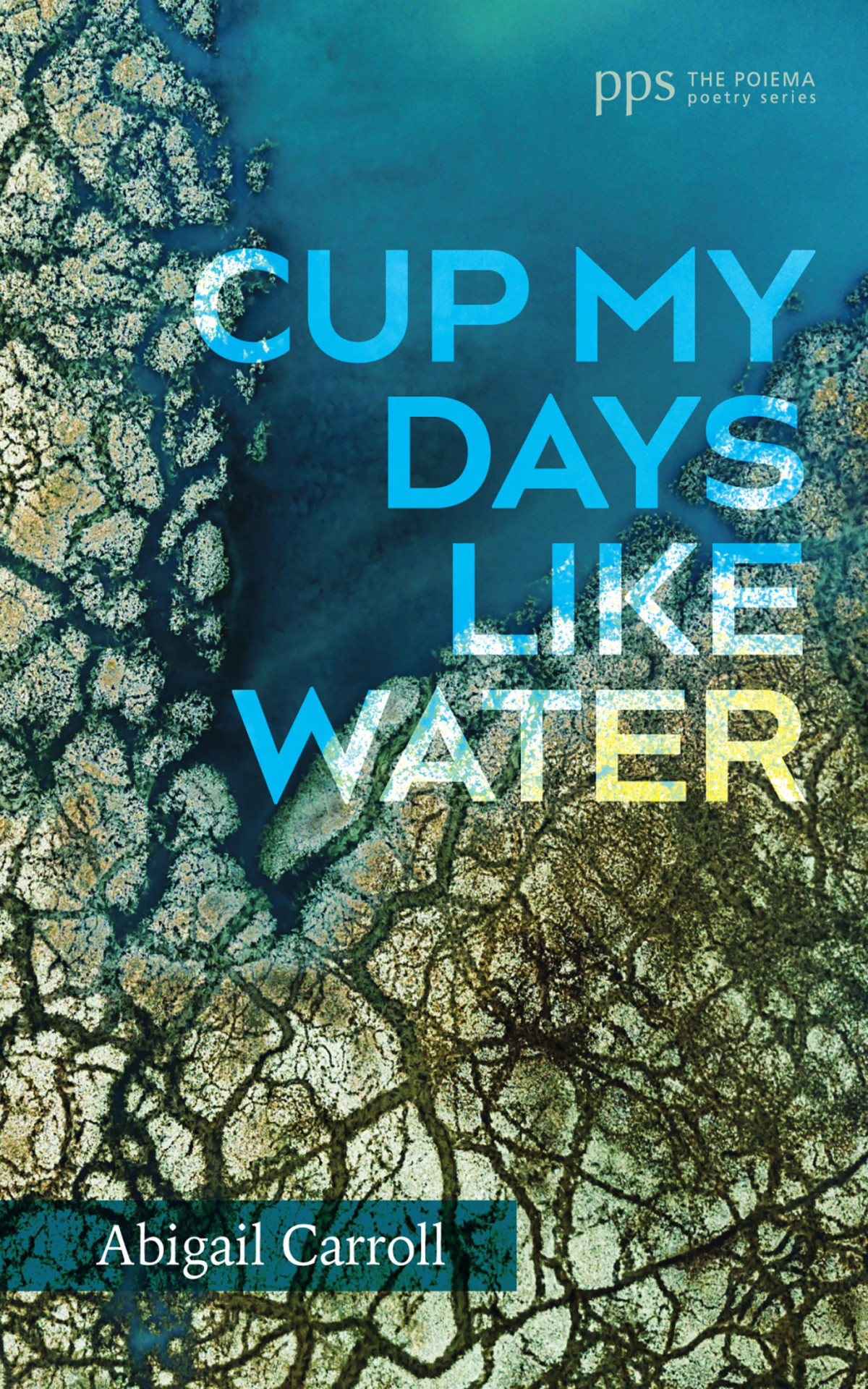 Cup My Days Like Water Abigail Carroll