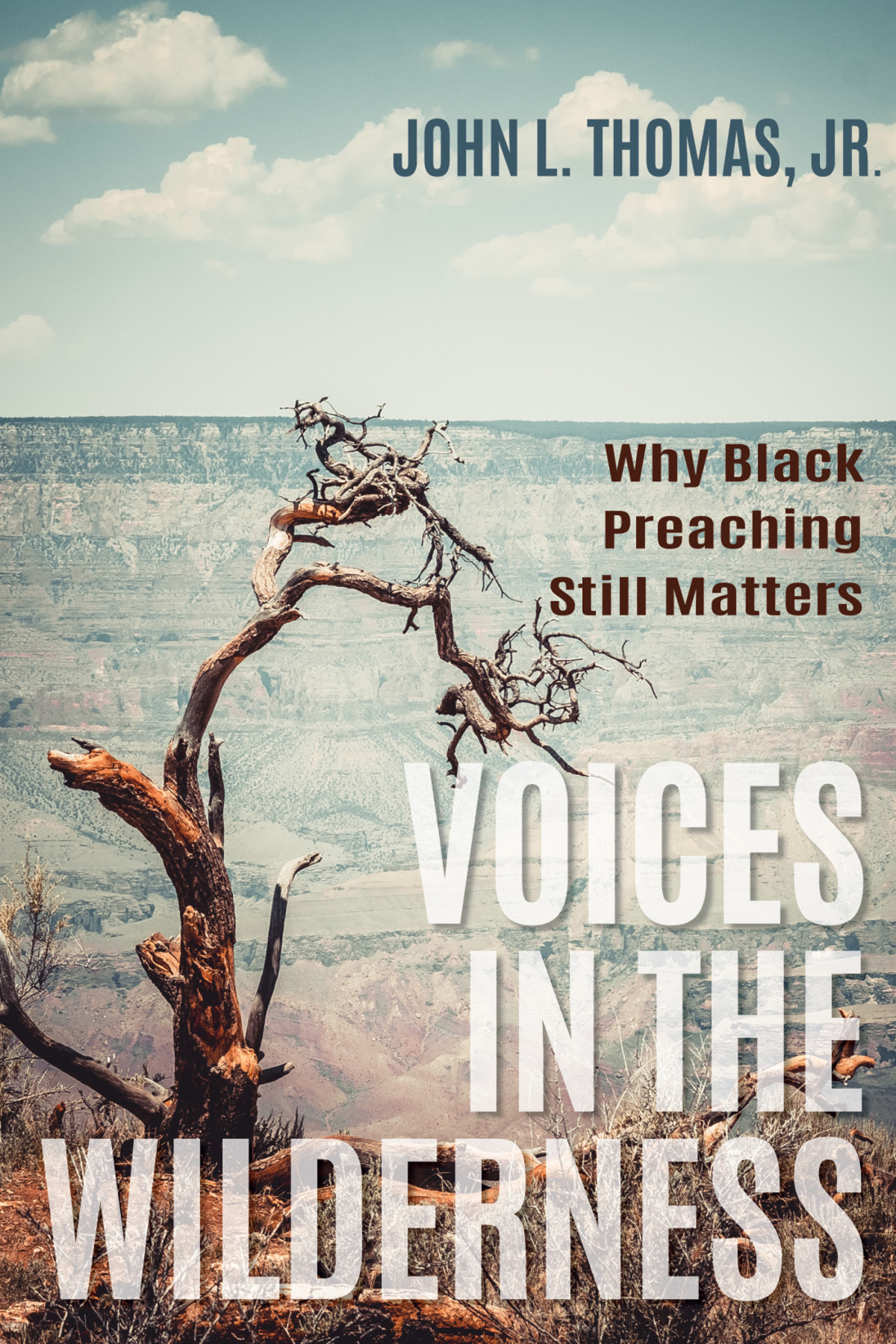Voices In The Wilderness John L Thomas Jr