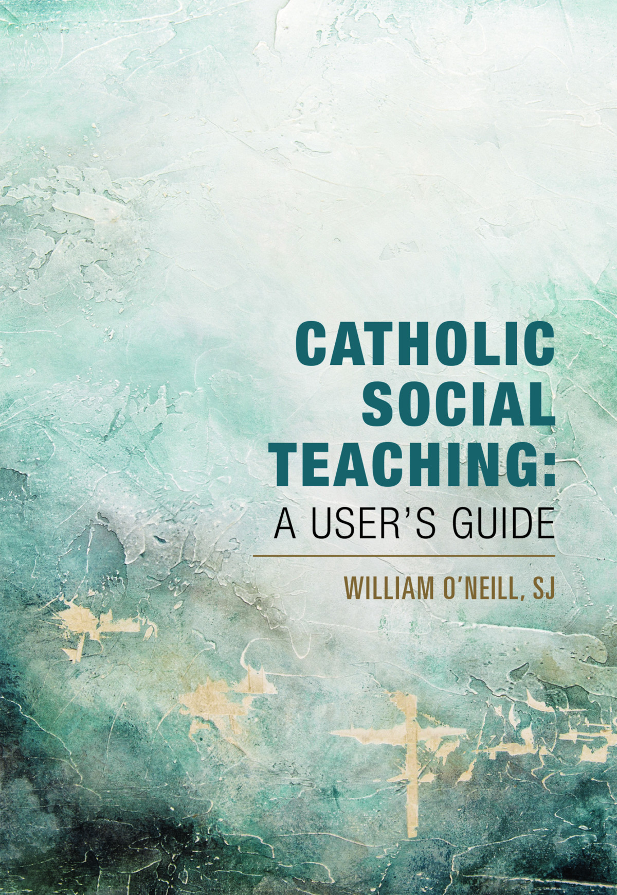 Catholic Social Teaching A Users Guide Oneill Sj William