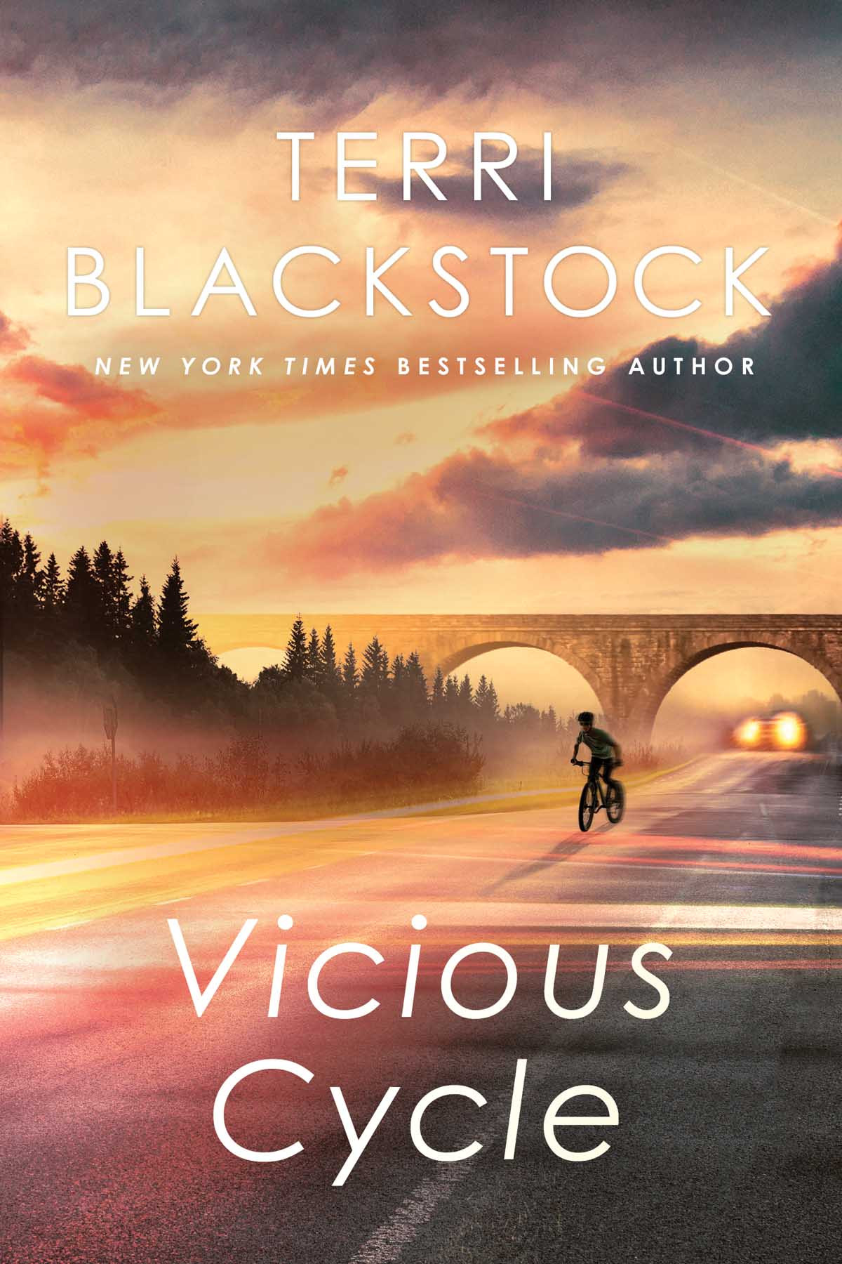 Vicious Cycle Terri Blackstock