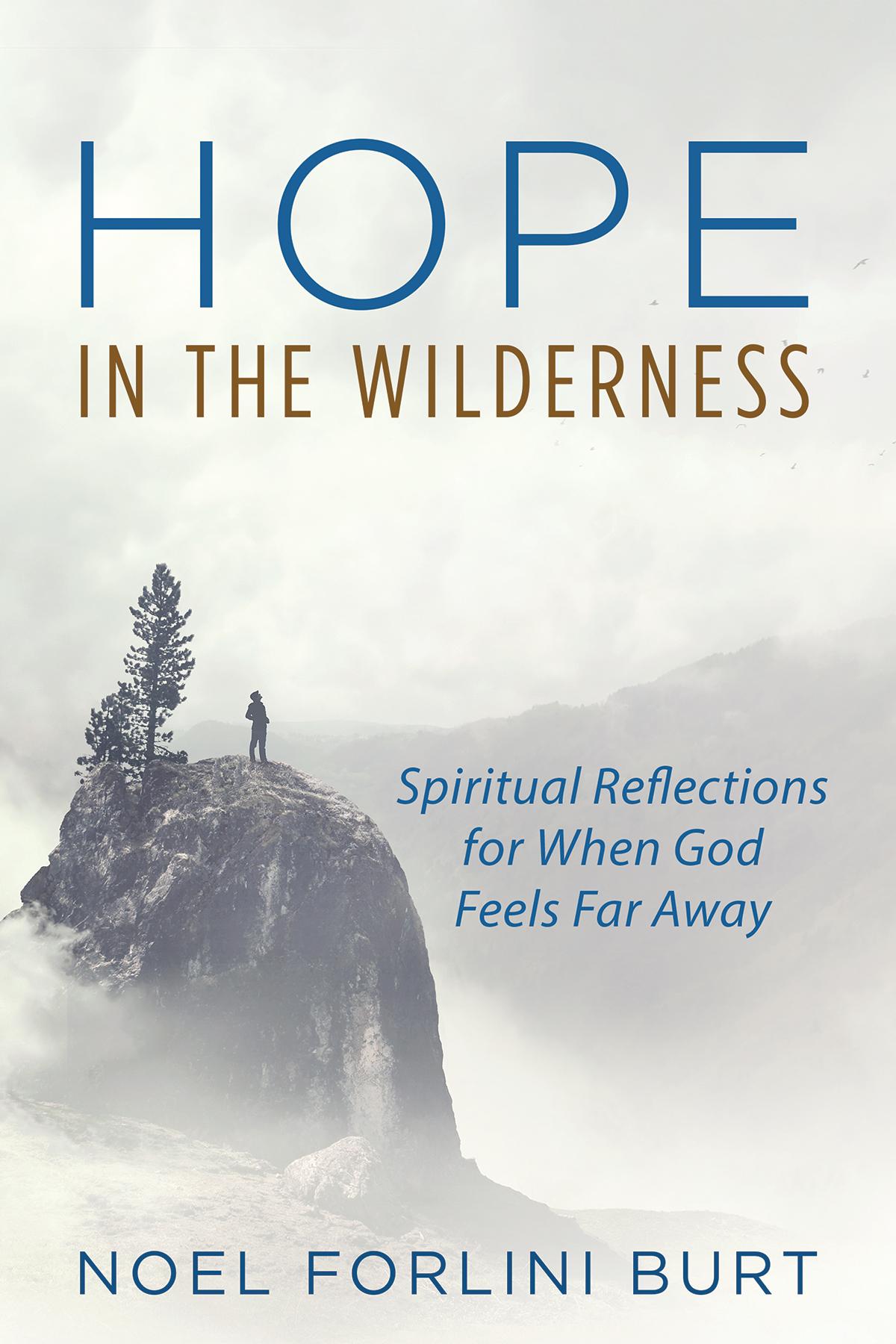 Hope In The Wilderness Noel Forlini Burt