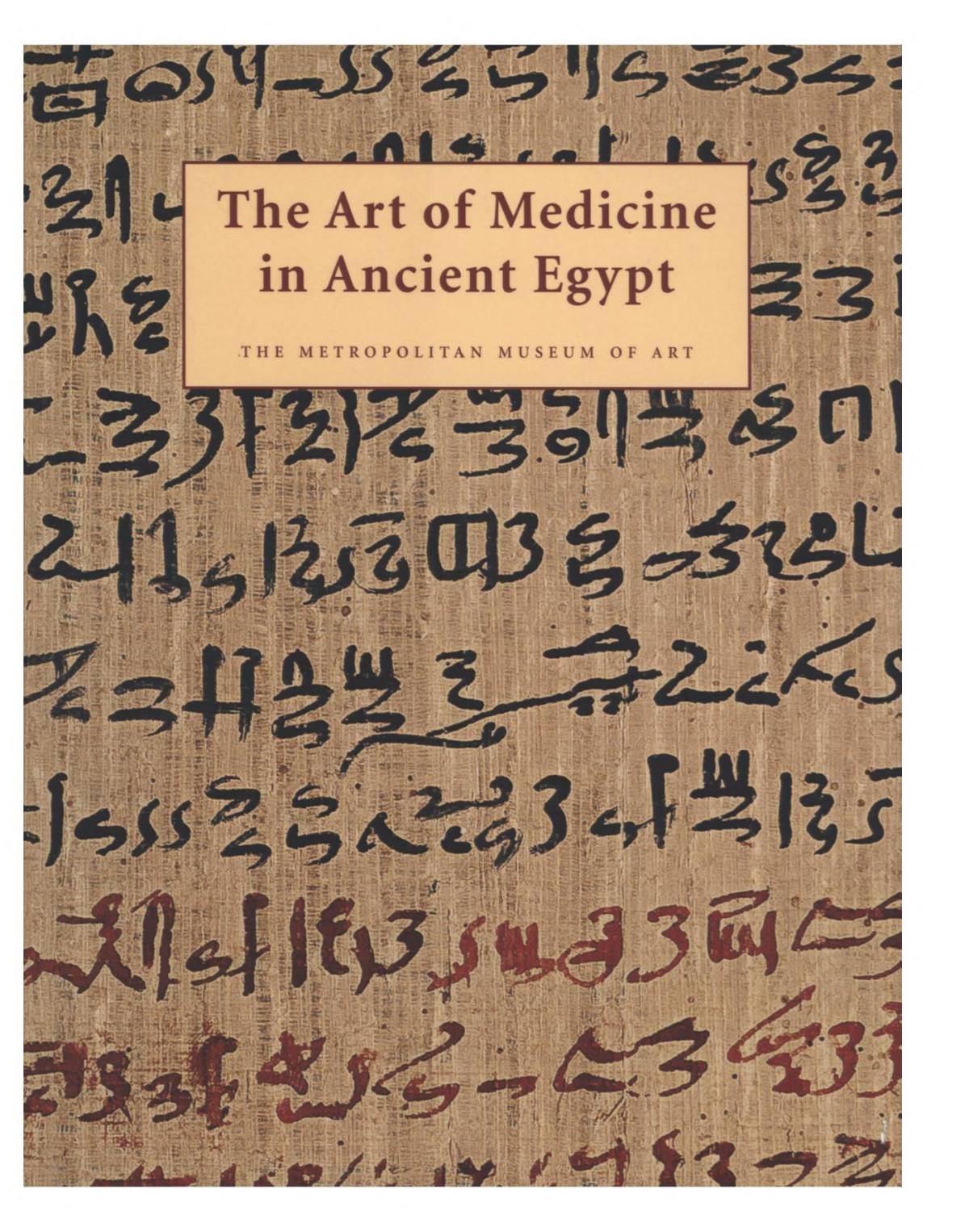 The Art Of Medicine In Ancient Egypt Allen James P