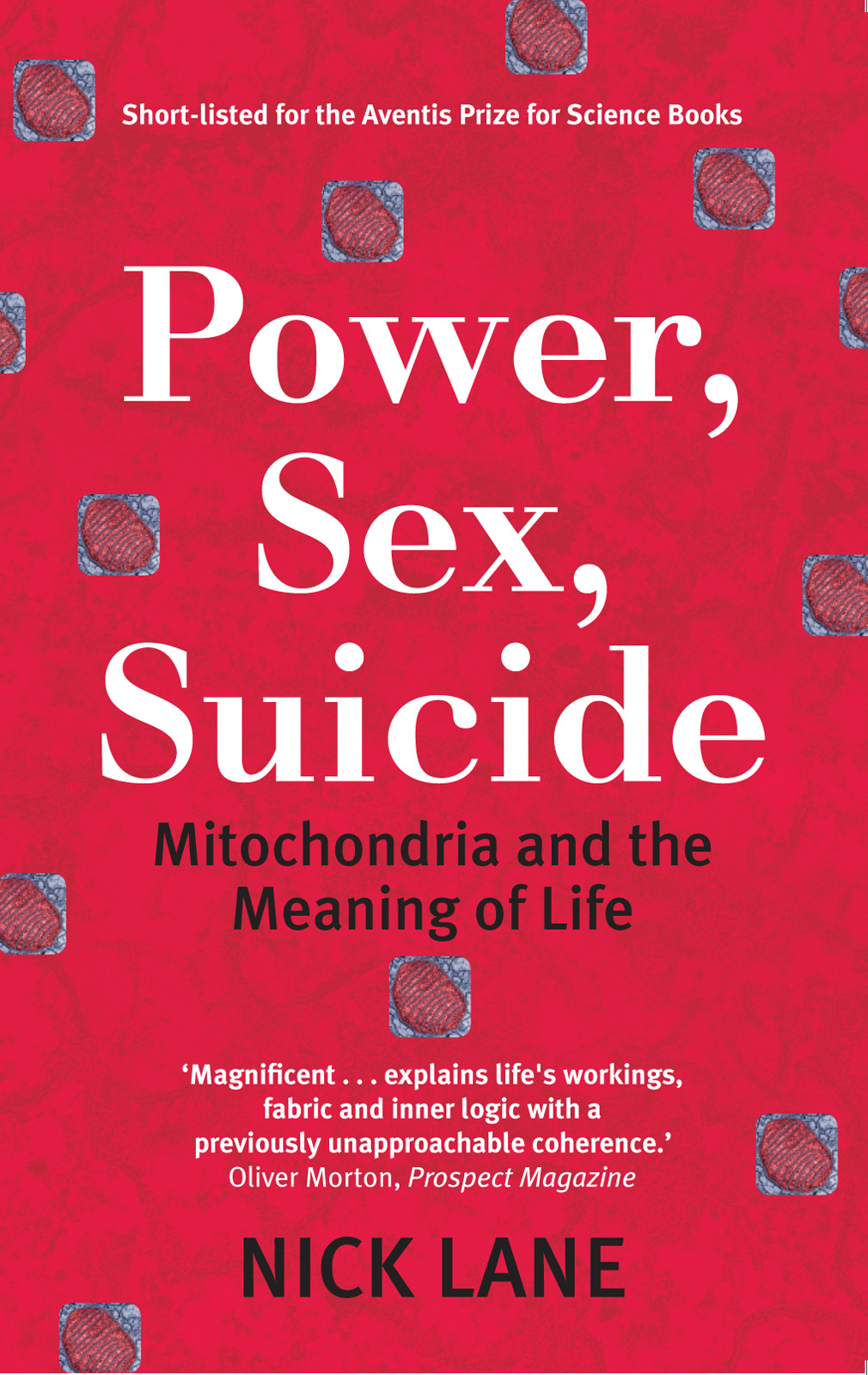 Power Sex Suicide Lane Nick