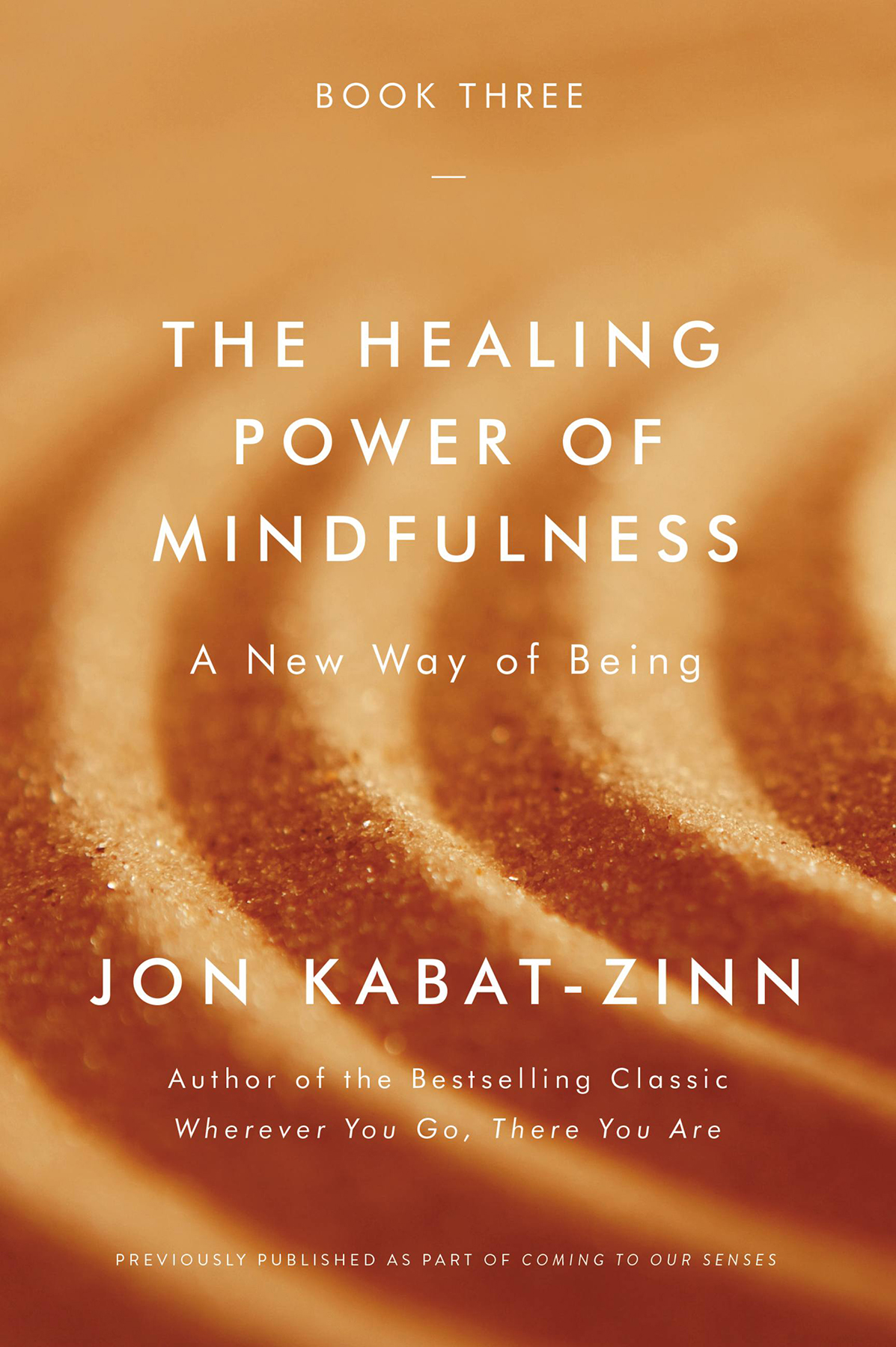 The Healing Power Of Mindfulness Jon Kabatzinn