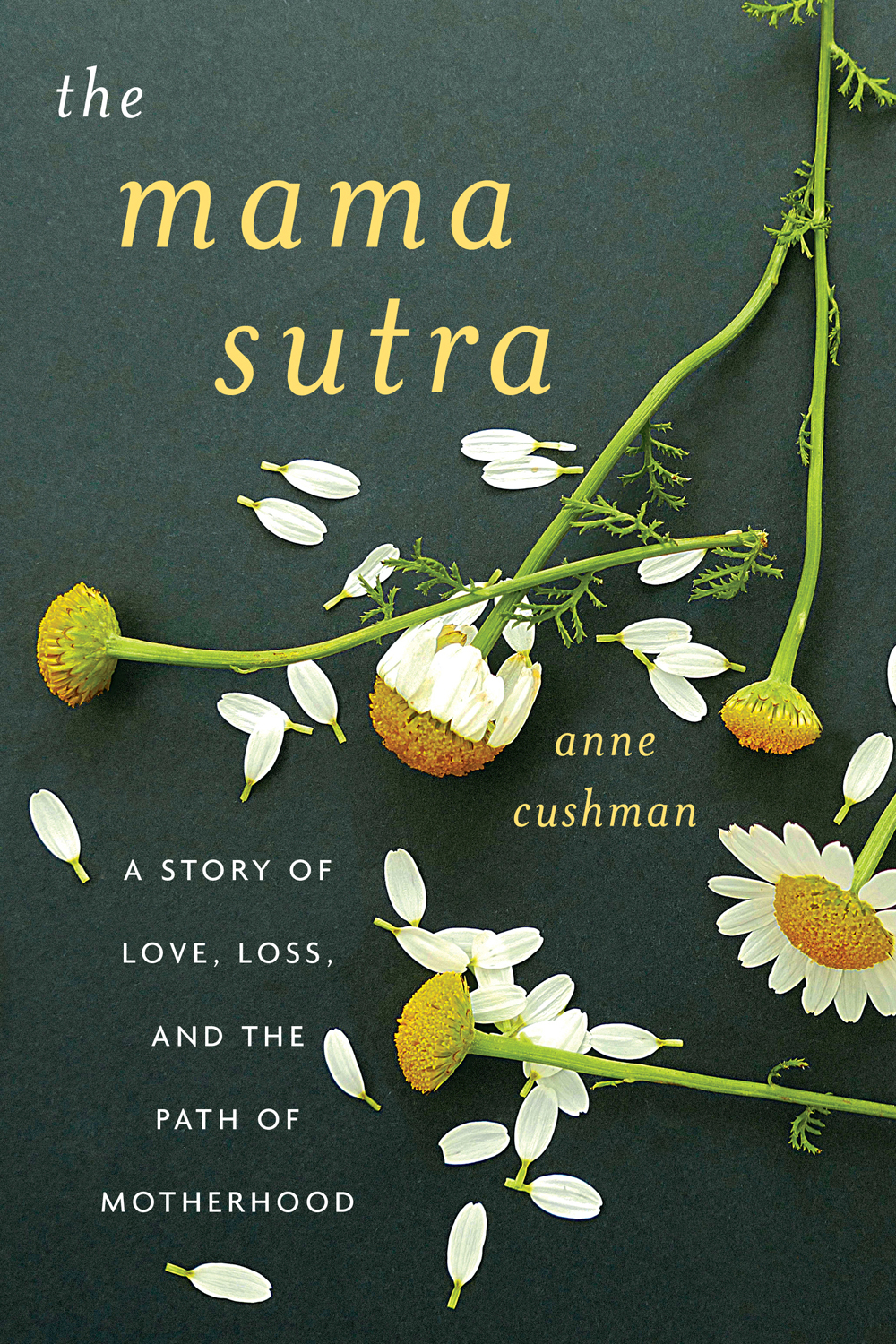 The Mama Sutra A Story Of Love Loss And The Path Of Motherhood Cushman