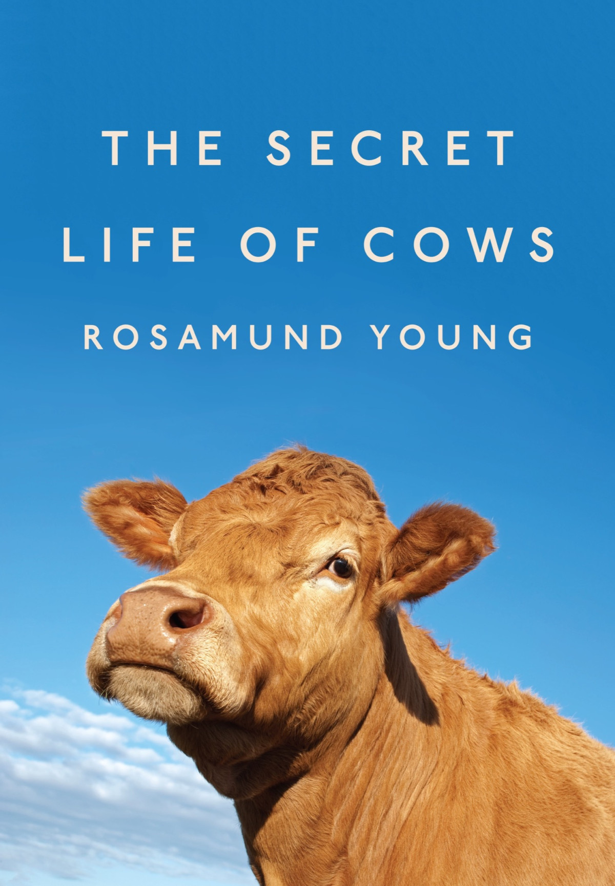 The Secret Life Of Cows Rosamund Young