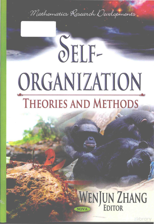 Selforganization Theories And Methods 2013th Edition Wenjun Zhang