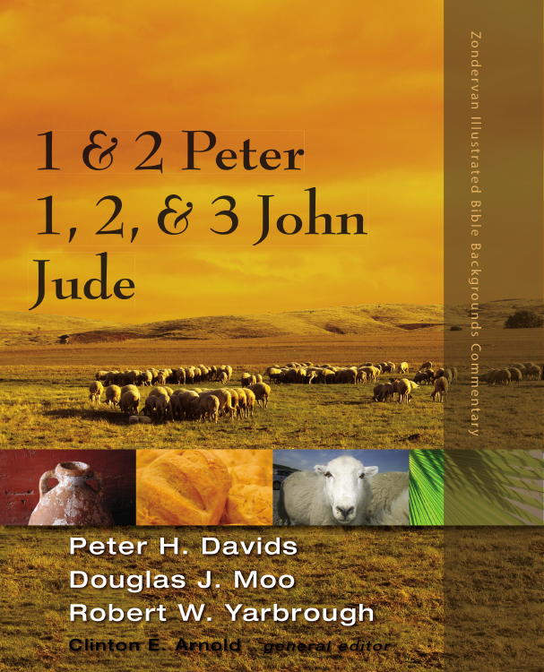 1 And 2 Peter Jude 1 2 And 3 John Peter H Davids Douglas J Moo Robert W Yarbrough