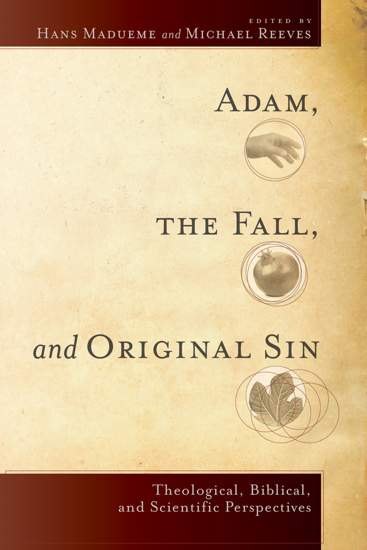 Adam The Fall And Original Sin Reeves Michaelmadueme Hans