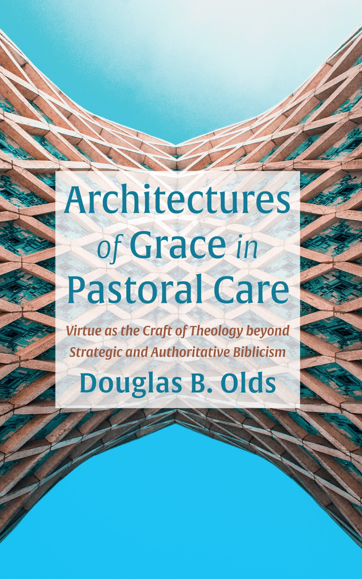 Architectures Of Grace In Pastoral Care Douglas B Olds
