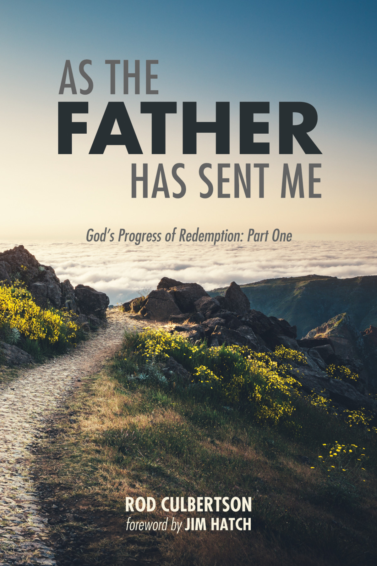 As The Father Has Sent Me Rod Culbertson
