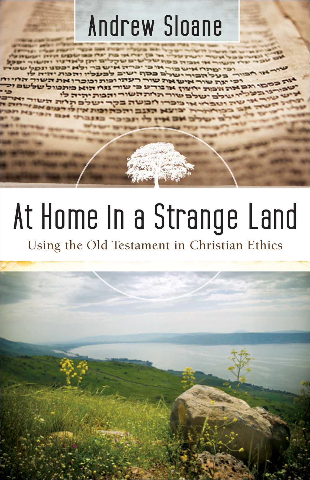 At Home In A Strange Land Sloane Andrew