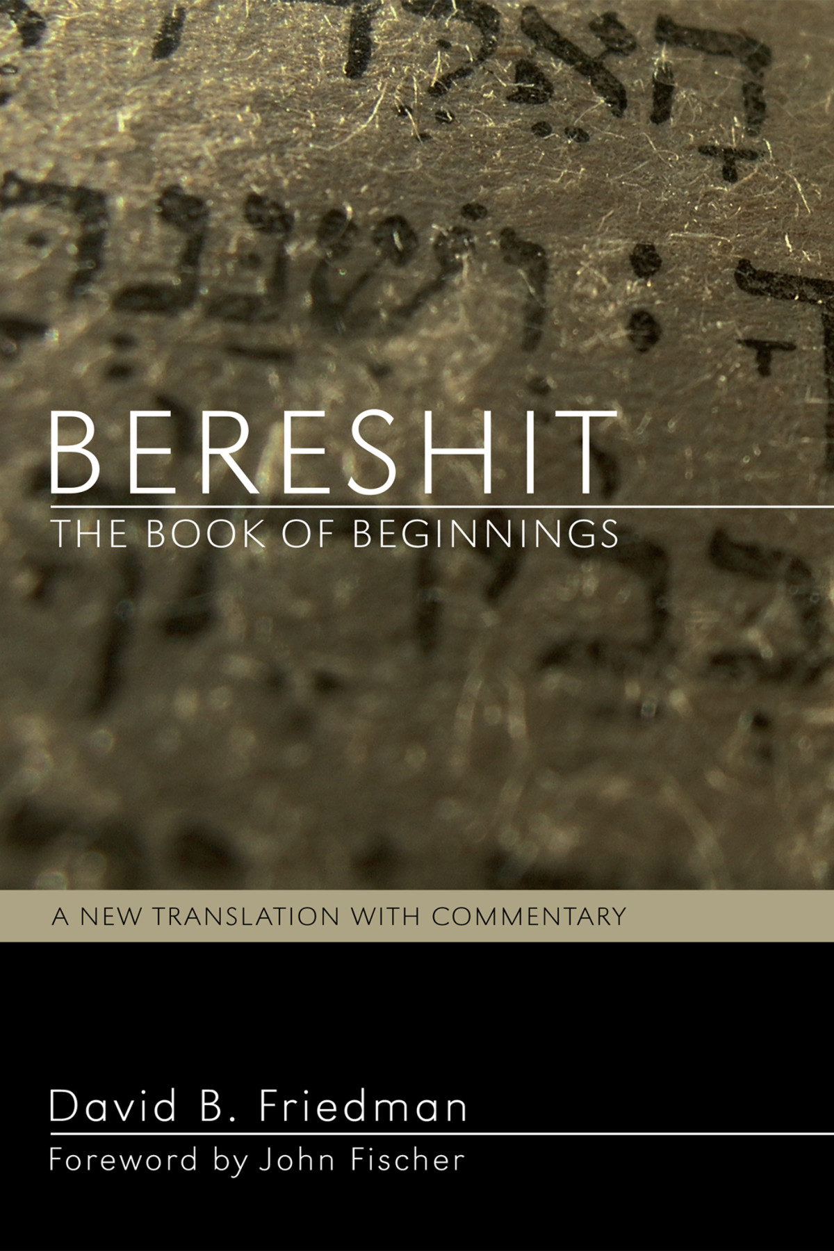 Bereshit The Book Of Beginnings David B Friedman