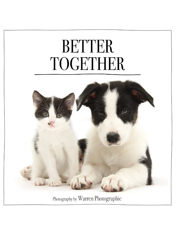 Better Together Zondervan