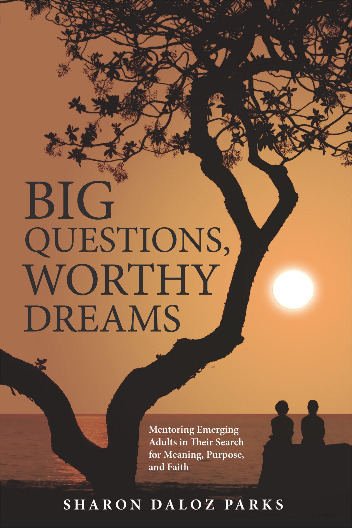 Big Questions Worthy Dreams Dr Sharon Daloz Parks
