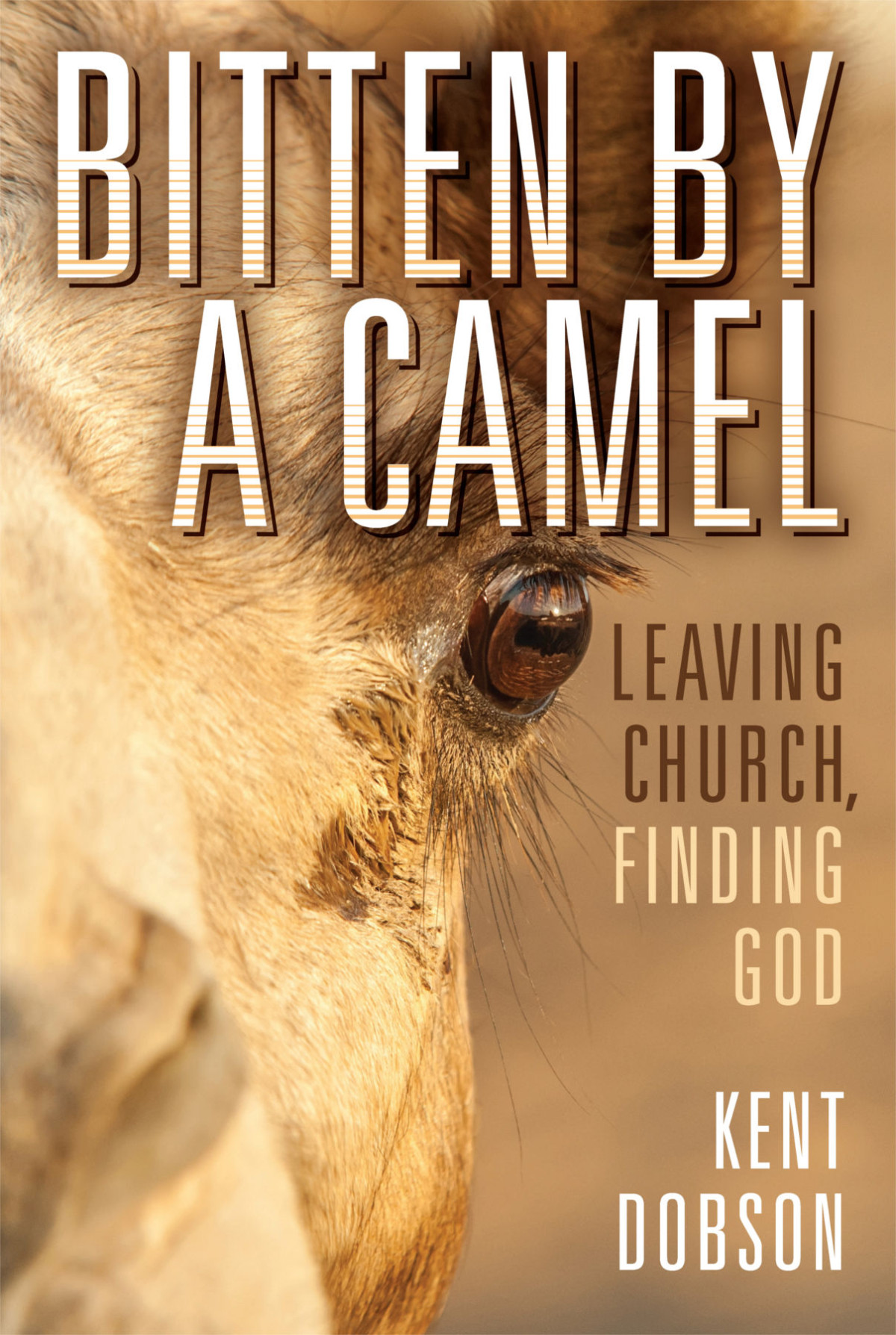 Bitten By A Camel Kent Dobson