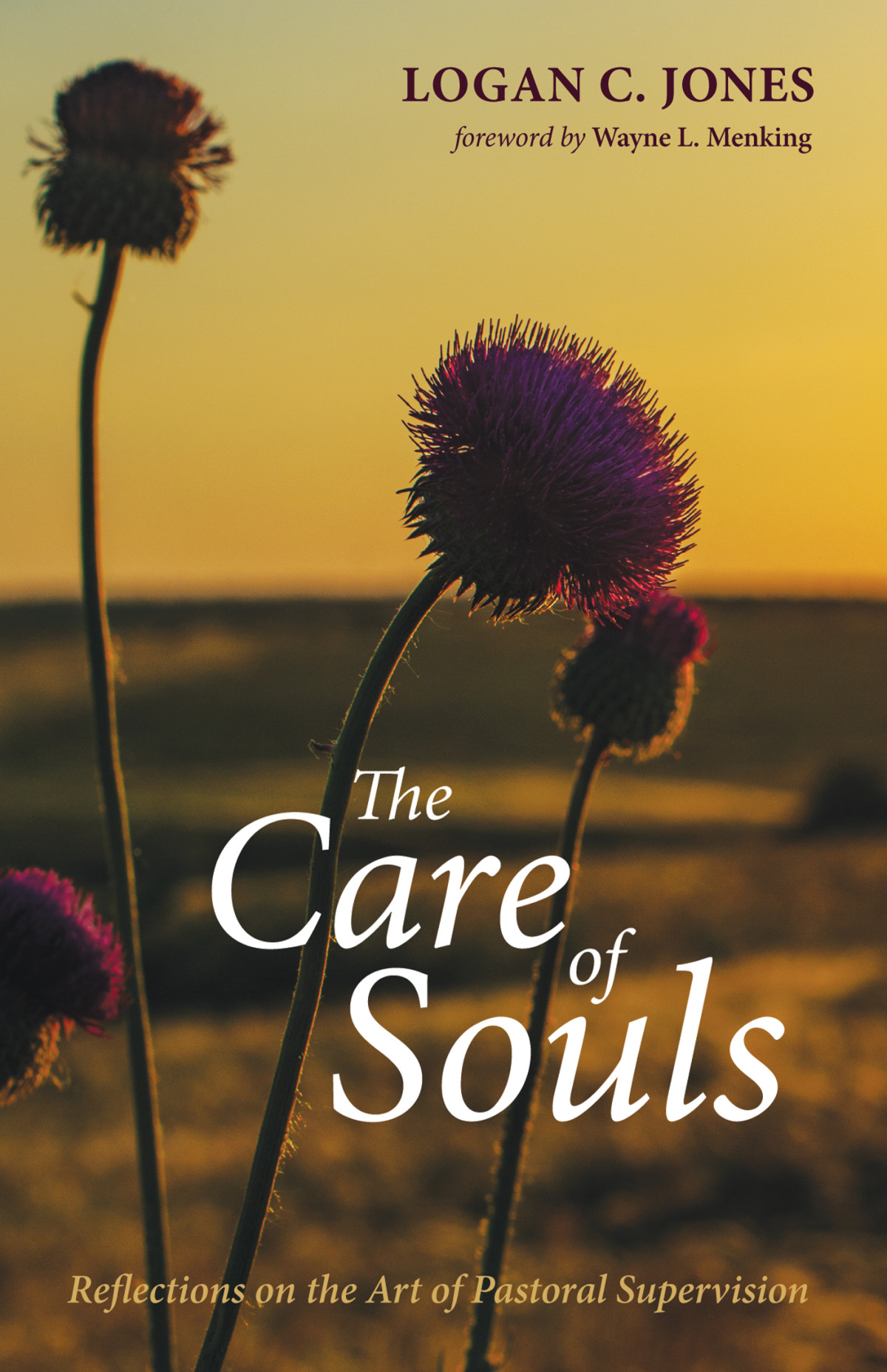 The Care Of Souls Logan C Jones