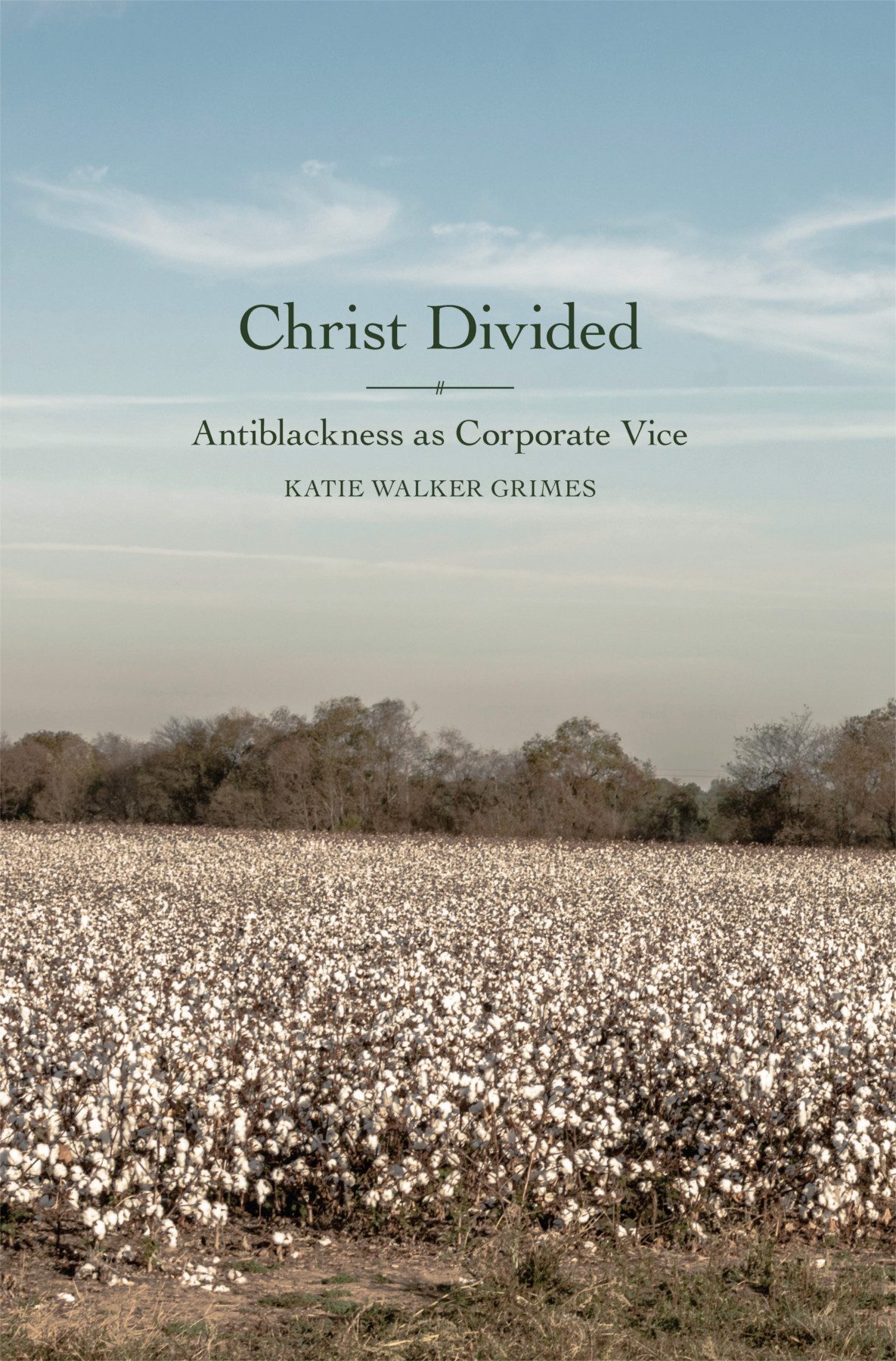 Christ Divided Katie Walker Grimes