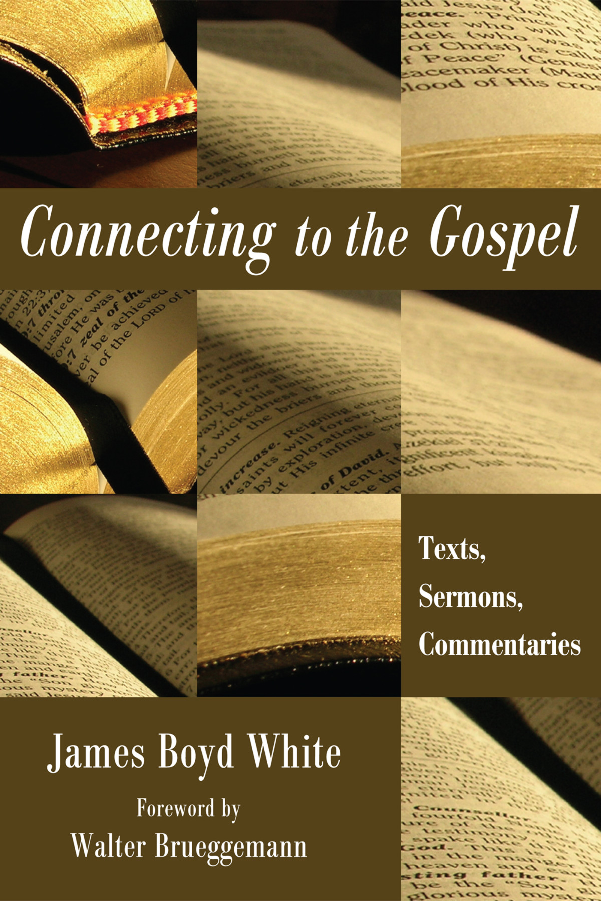 Connecting To The Gospel James Boyd White Walter Brueggemann