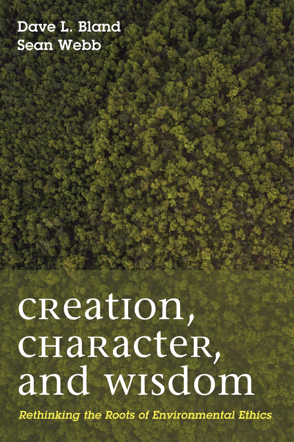 Creation Character And Wisdom Dave L Blandsean Patrick Webb