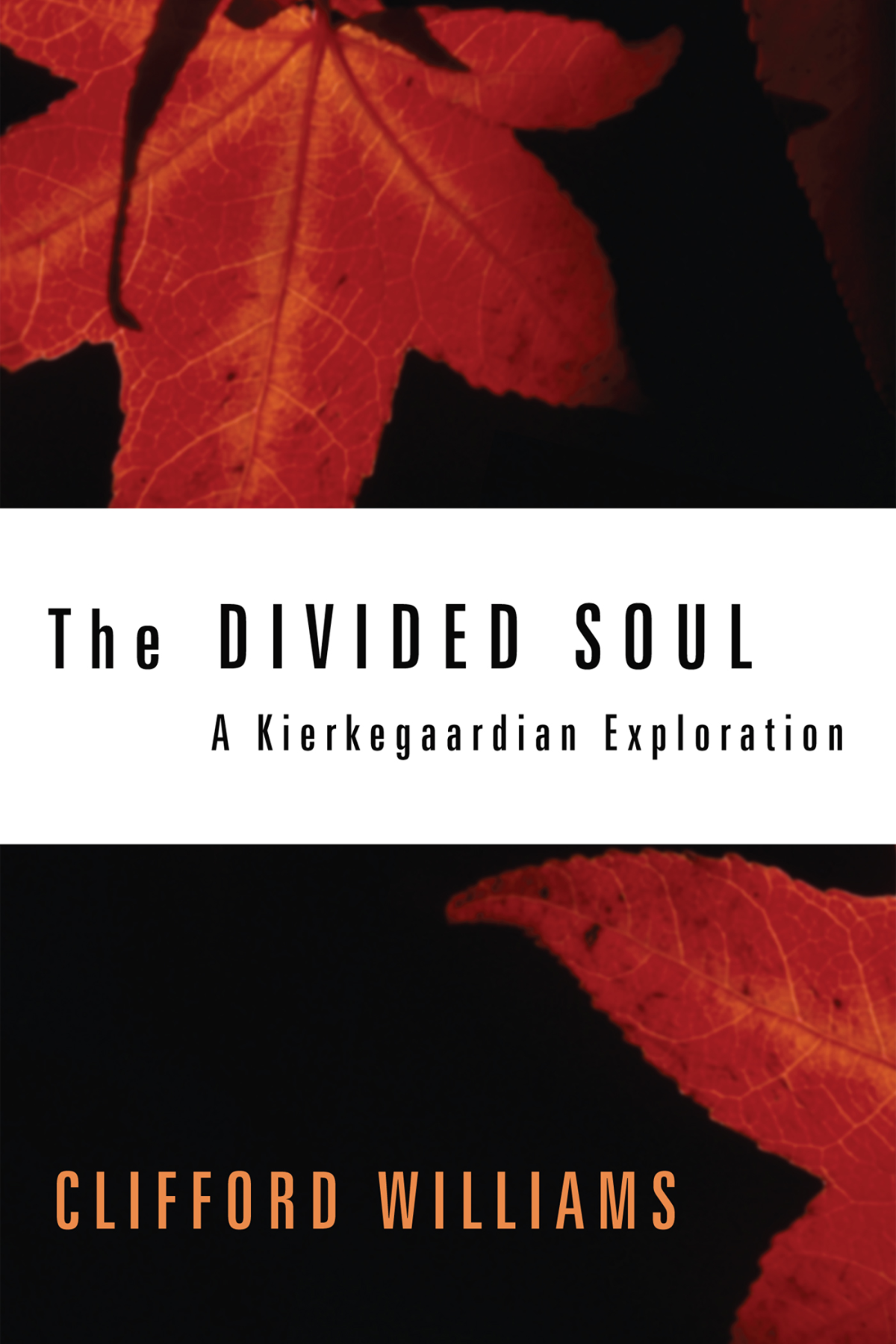 The Divided Soul Clifford Williams