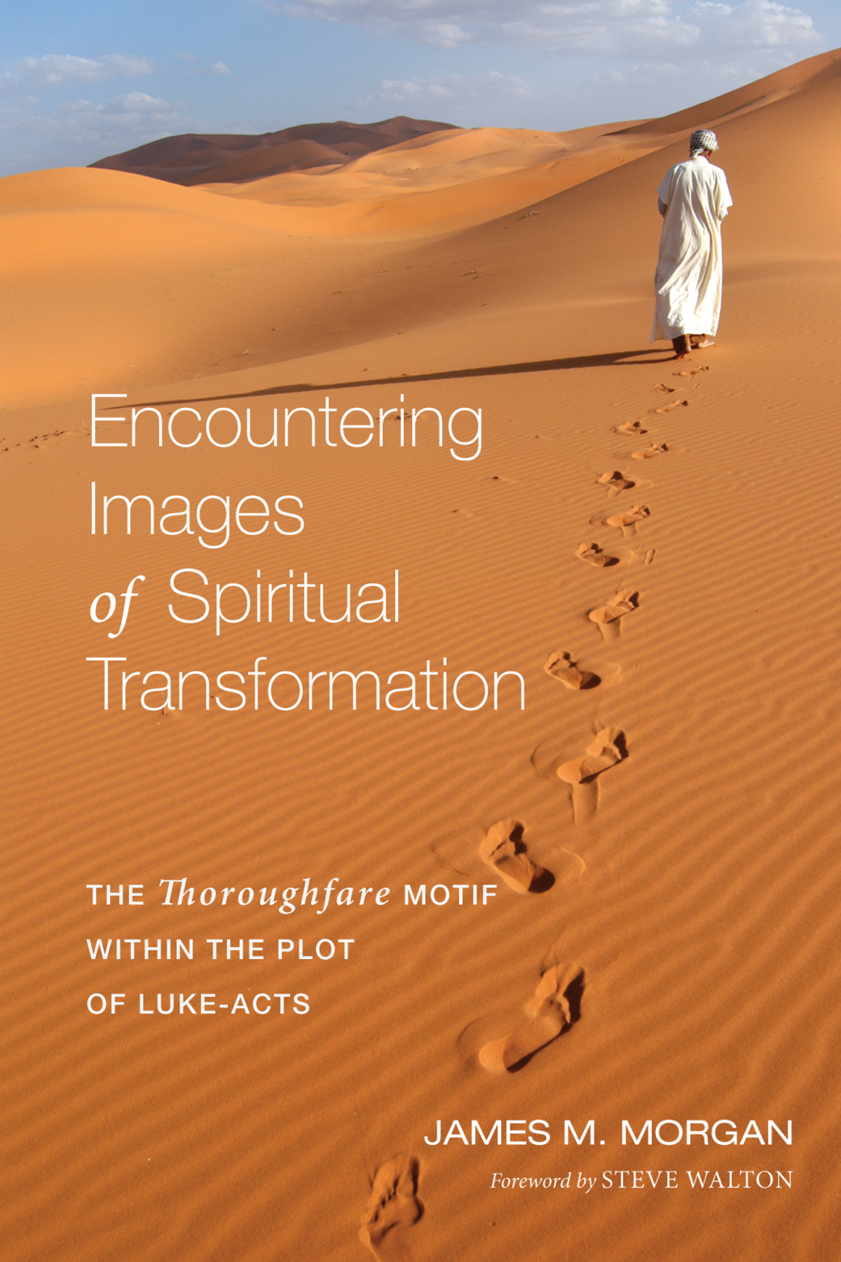 Encountering Images Of Spiritual Transformation James M Morgan