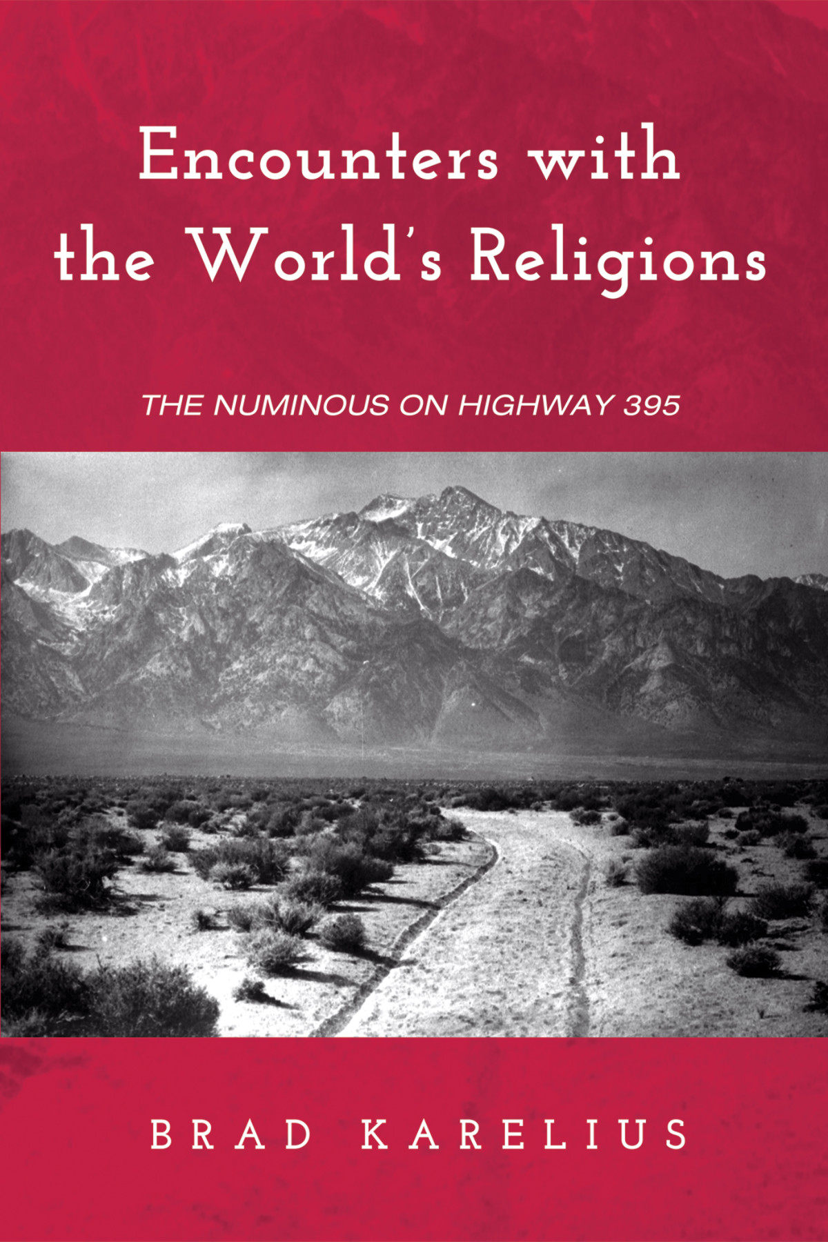Encounters With The Worlds Religions Brad Karelius