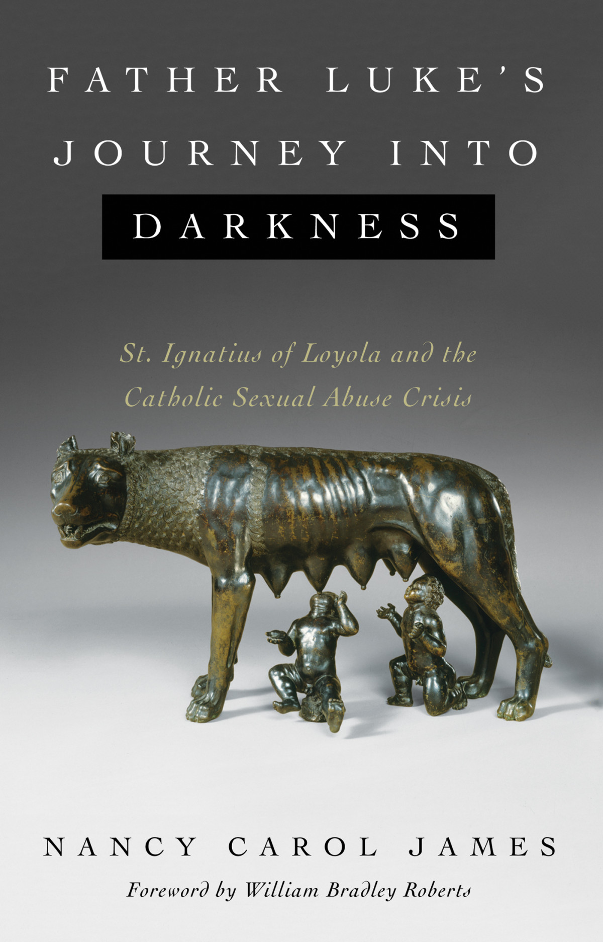 Father Lukes Journey Into Darkness Nancy Carol James