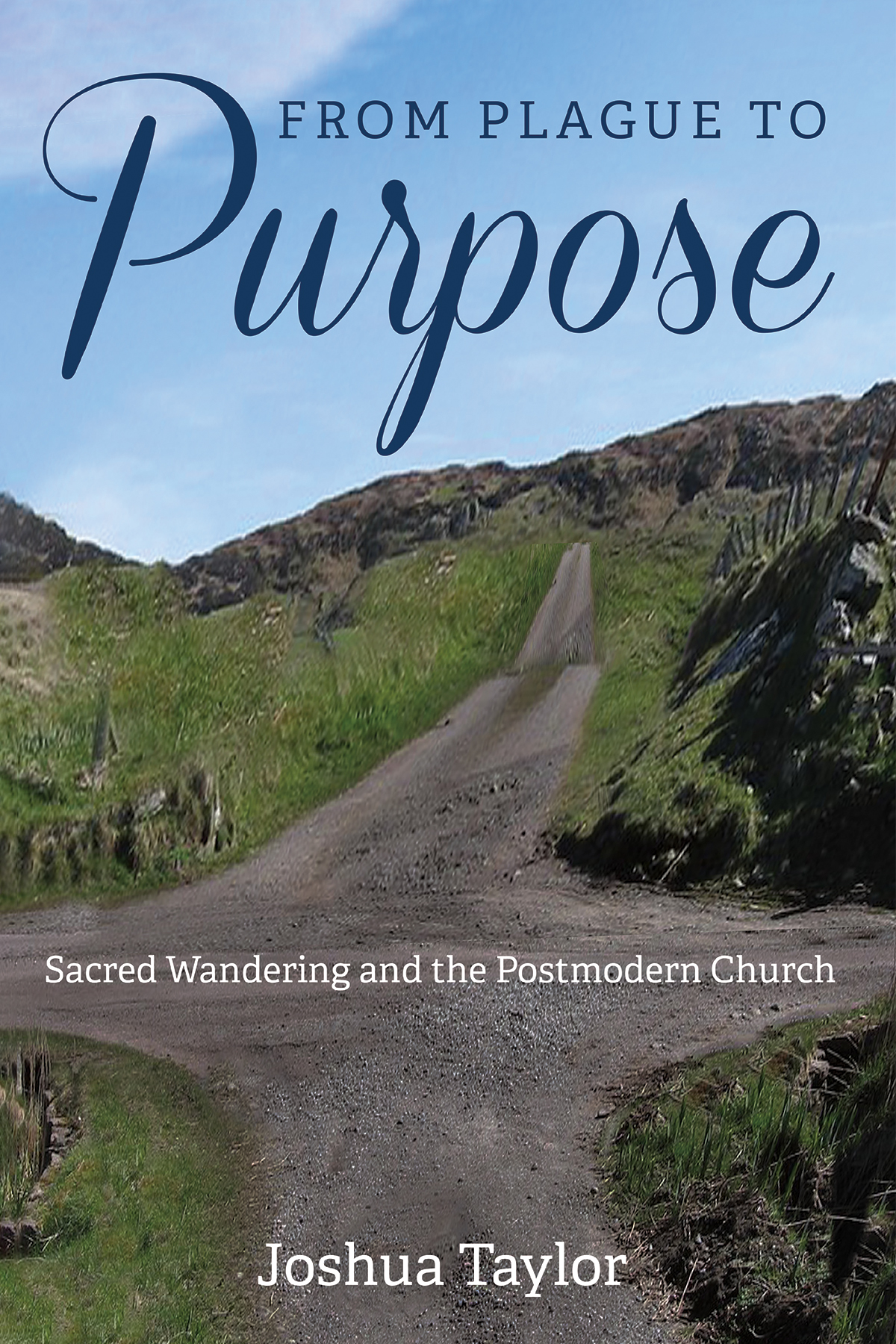From Plague To Purpose Joshua Taylor
