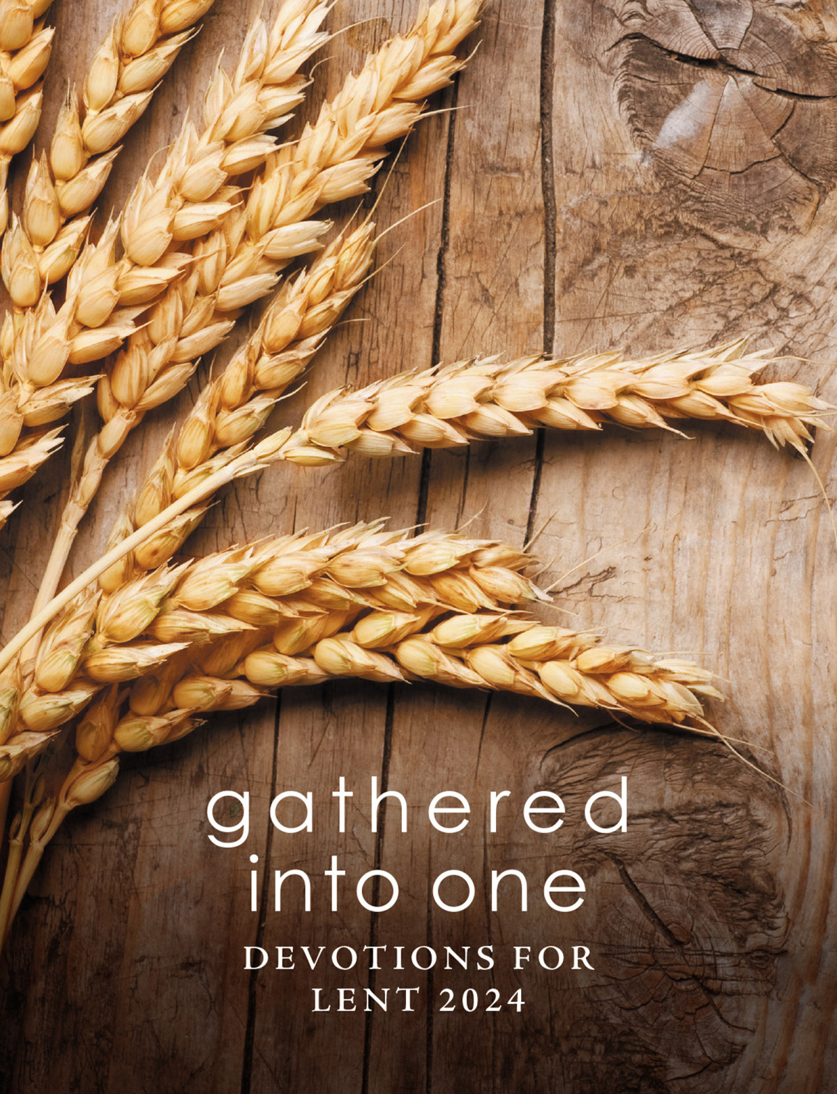 Gathered Into One Yolanda Densonbyersphilip Rugejonesmichael Rinehart