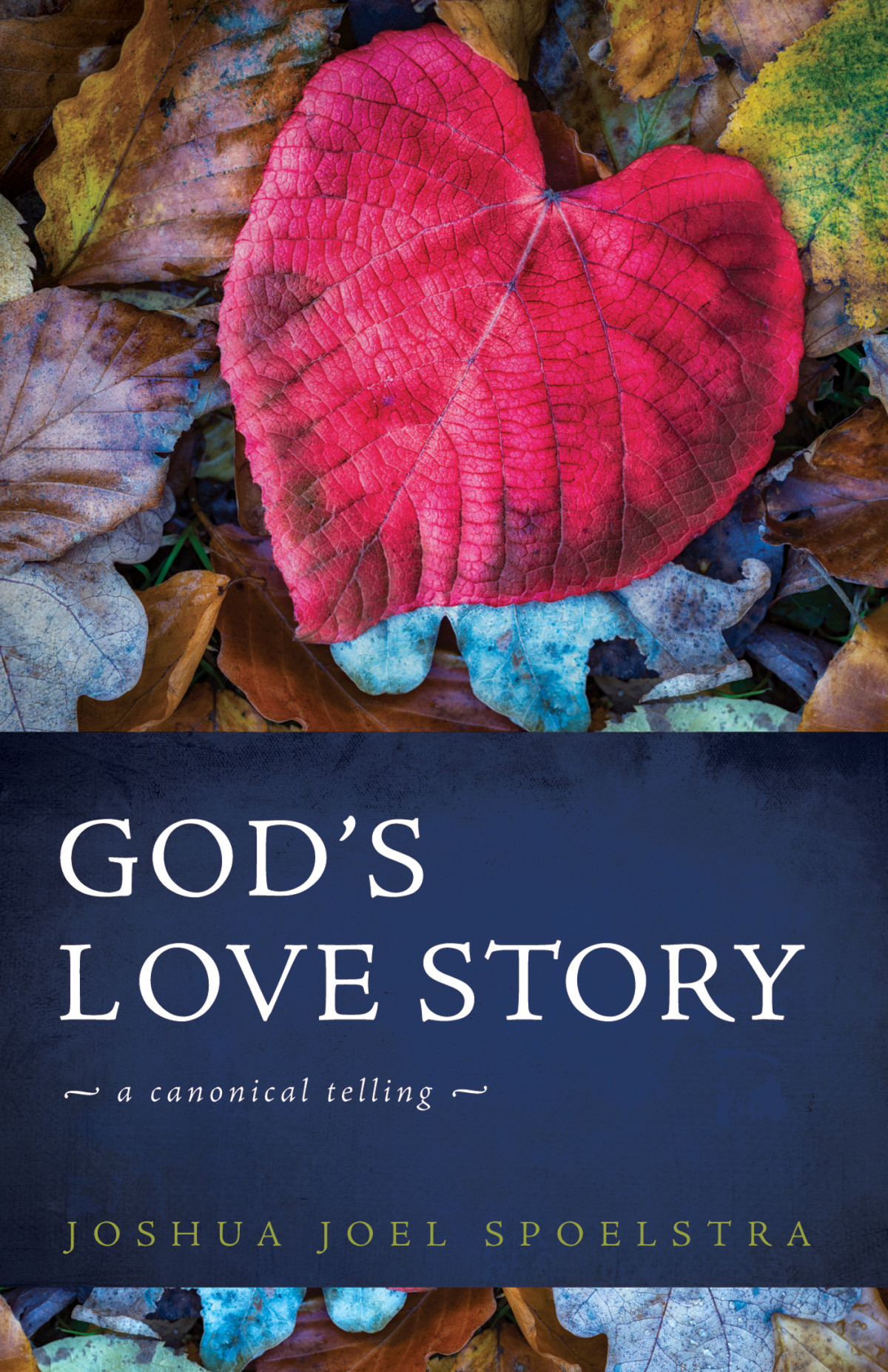 Gods Love Story Joshua Joel Spoelstra