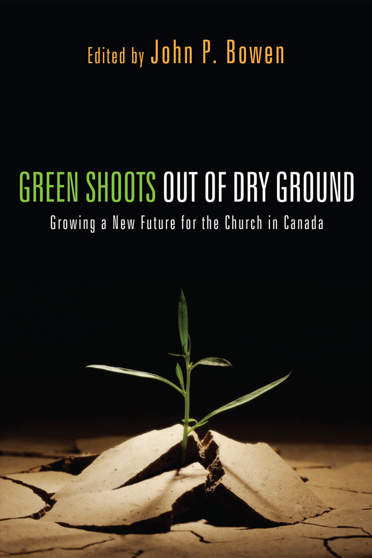Green Shoots Out Of Dry Ground John P Bowen