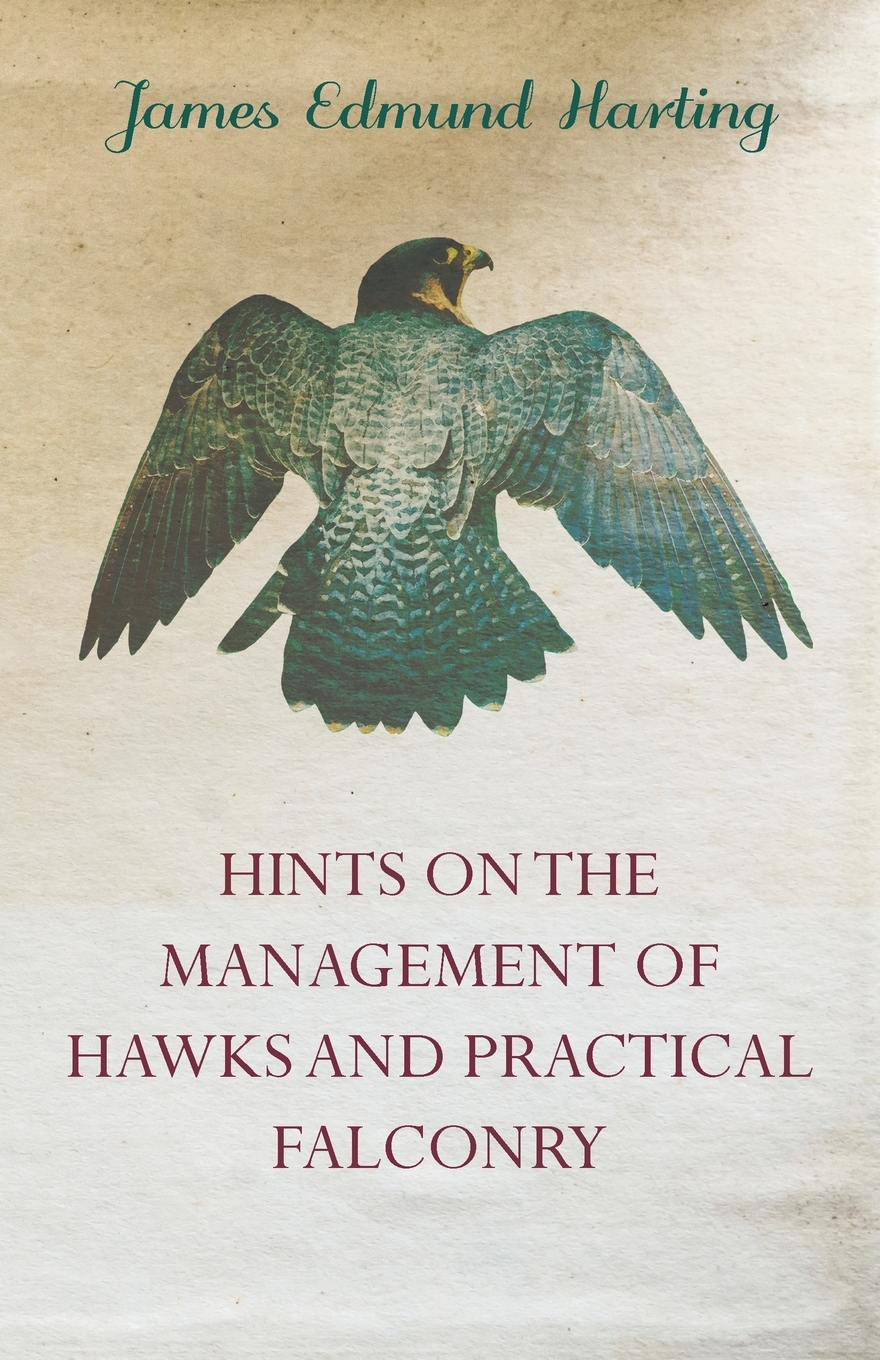 Hints On The Management Of Hawks And Practical Falconry James Edmund Harting